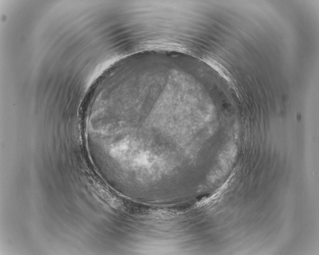 X0000086941022200705071413