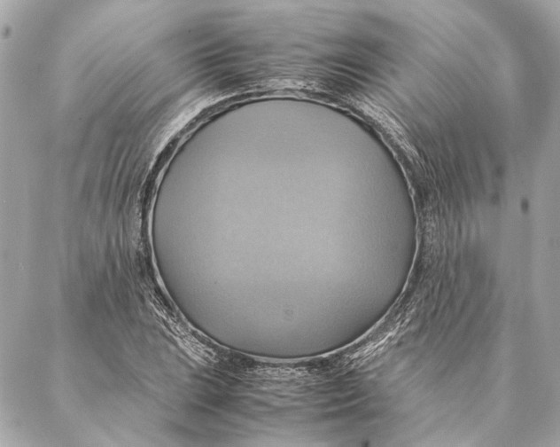 X0000086941023200705071413