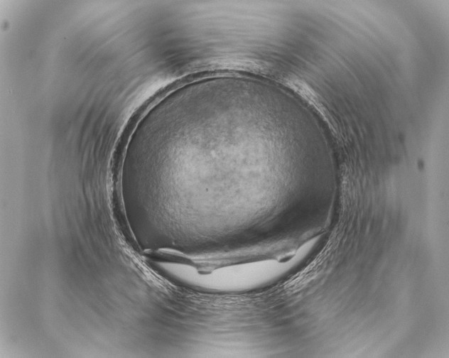 X0000086941024200705071413