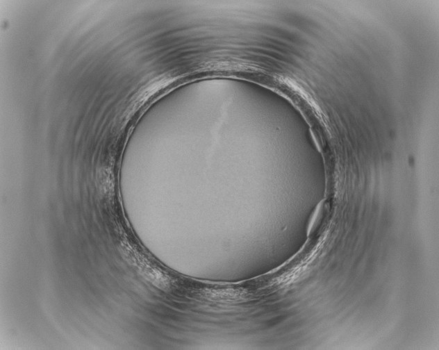 X0000086941025200705071413