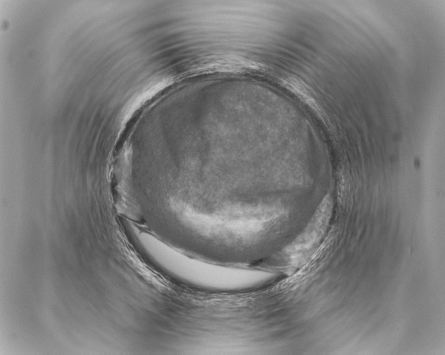 X0000086941026200705071413