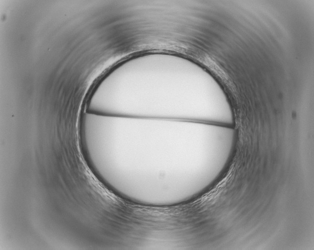 X0000086941028200705071413