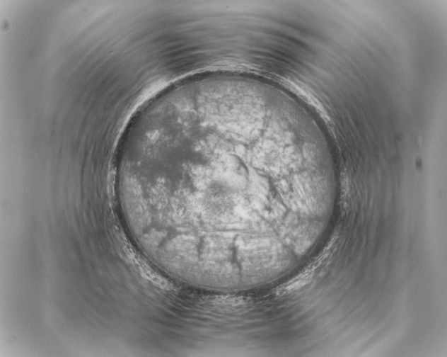 X0000086941029200705071413