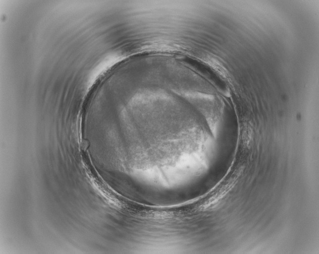 X0000086941030200705071413