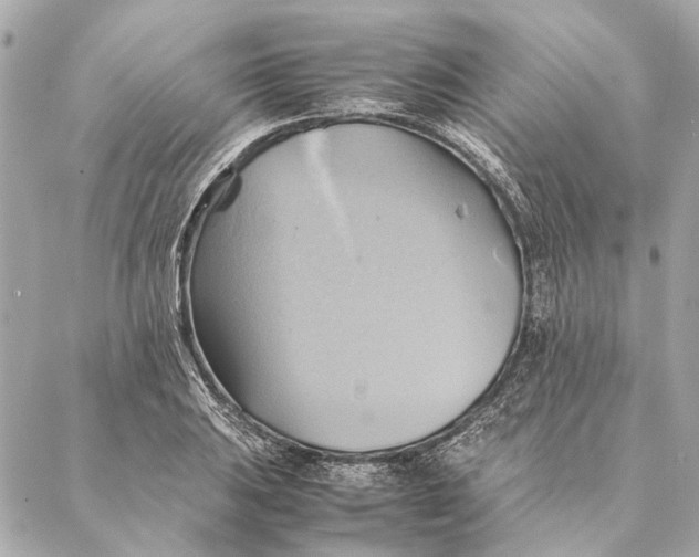 X0000086941031200705071413