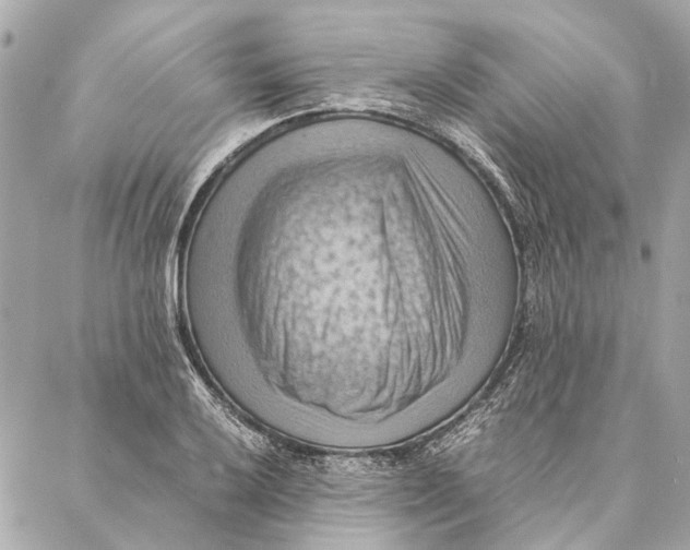 X0000086941032200705071413