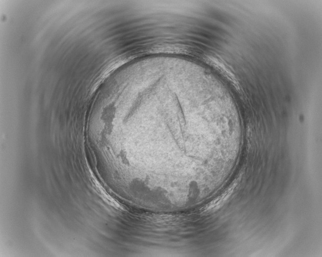 X0000086941033200705071413