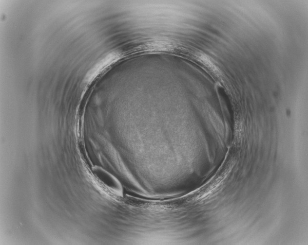 X0000086941034200705071413