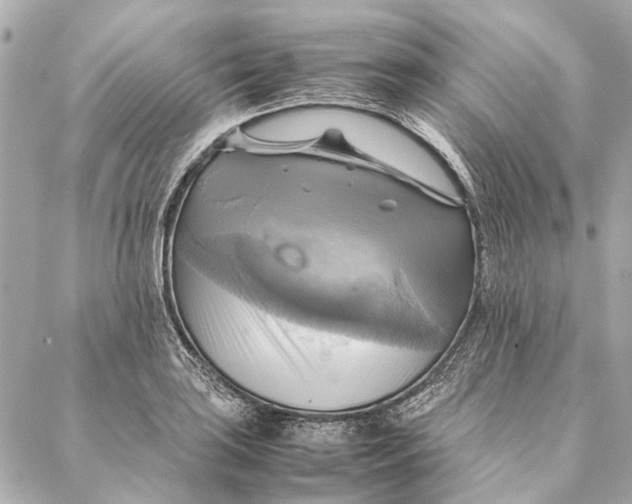 X0000086941035200705071413