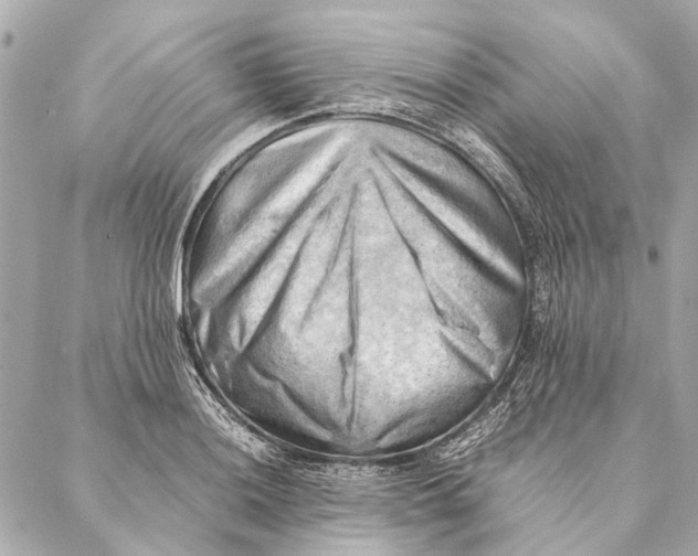 X0000086941036200705071413