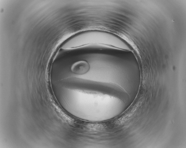 X0000086941037200705071413