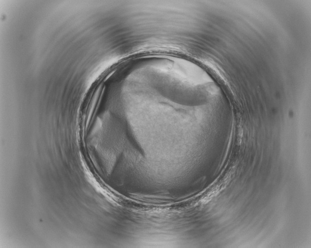 X0000086941038200705071413