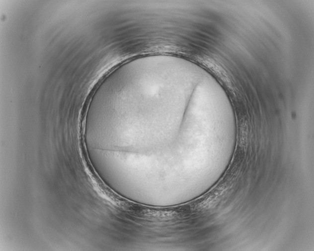 X0000086941039200705071413