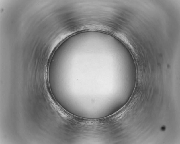 X0000086941040200705071413