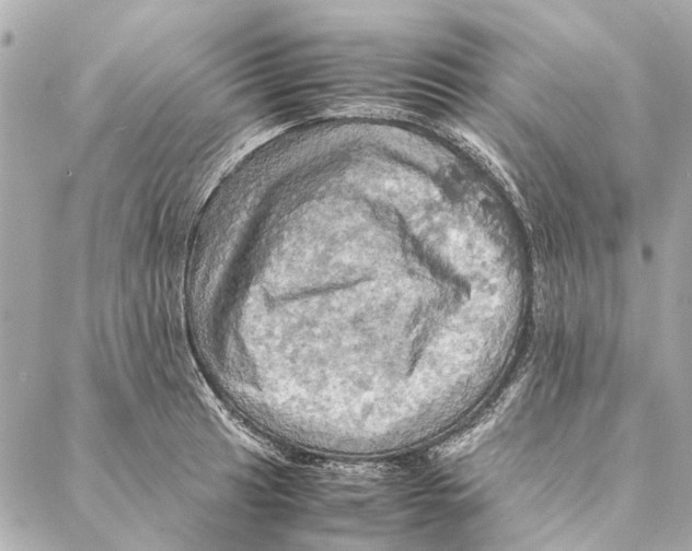 X0000086941041200705071413