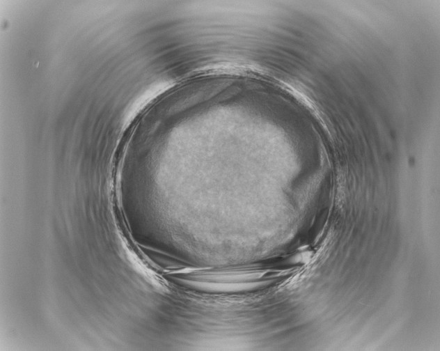 X0000086941042200705071413