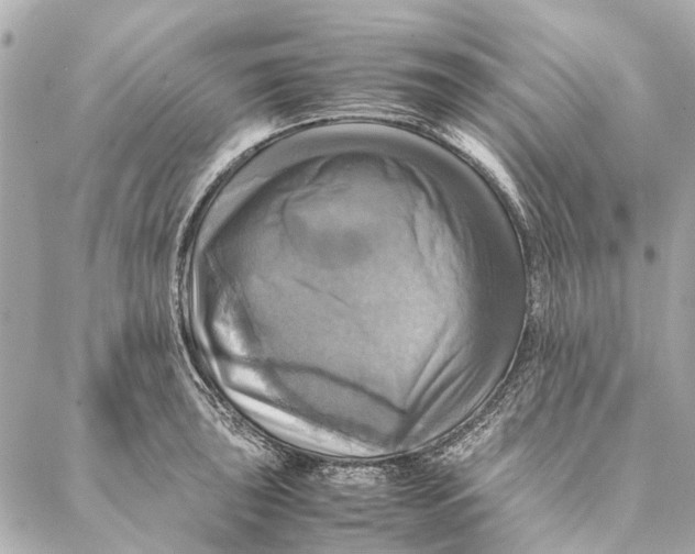 X0000086941043200705071413