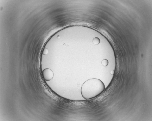 X0000086941044200705071413