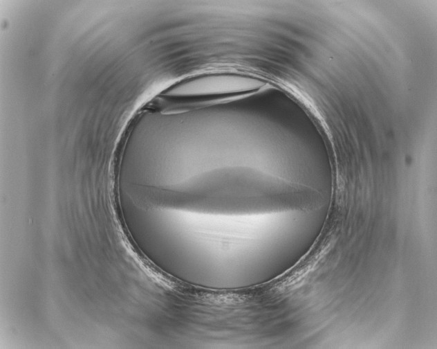 X0000086941045200705071413