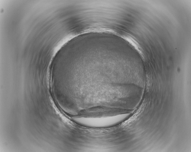 X0000086941046200705071413