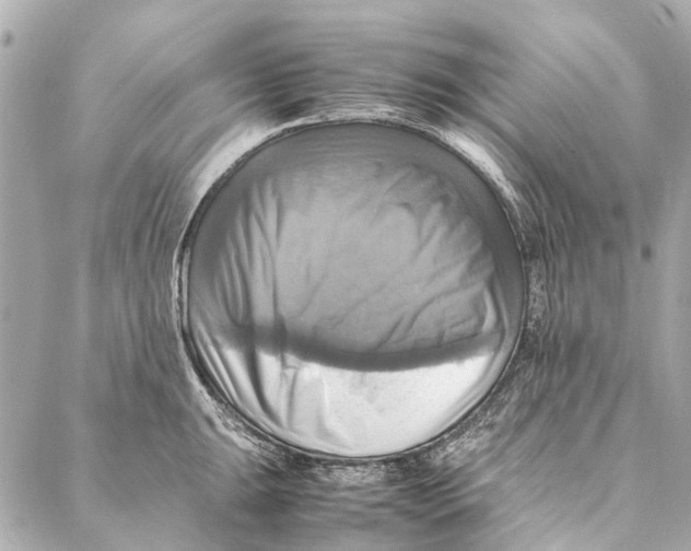 X0000086941047200705071413