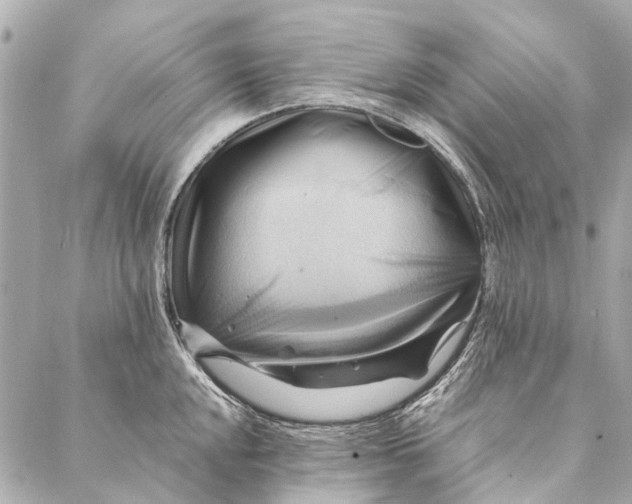 X0000086941048200705071413