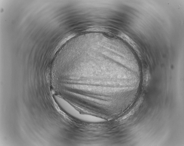 X0000086941049200705071413