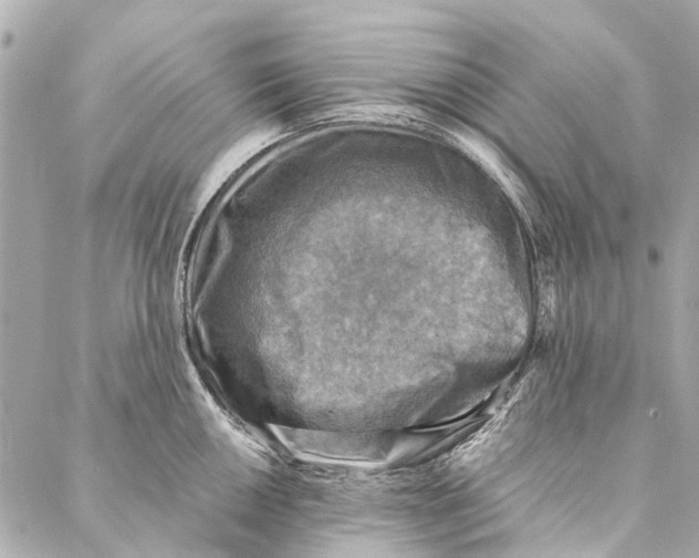 X0000086941050200705071413