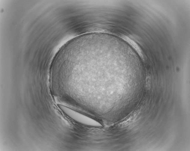 X0000086941051200705071413