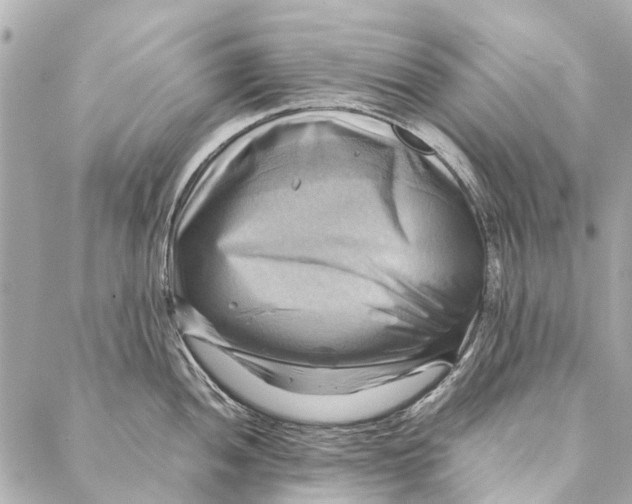 X0000086941052200705071413