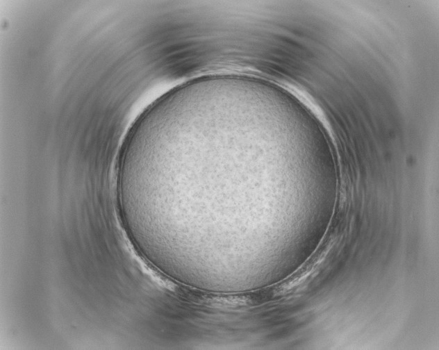 X0000086941053200705071413