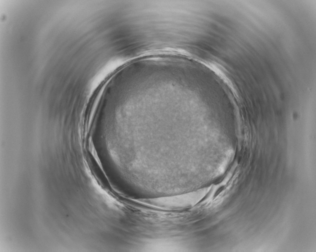 X0000086941054200705071413