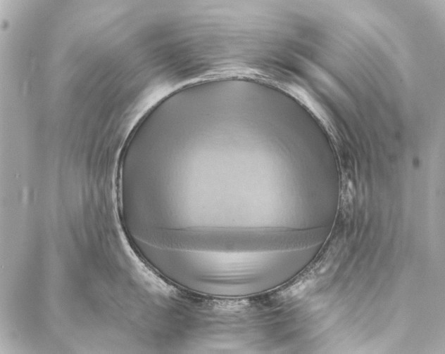 X0000086941055200705071413