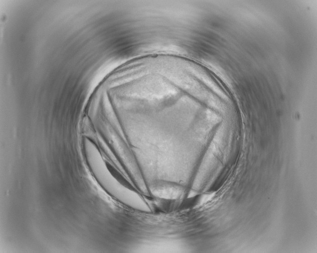 X0000086941056200705071413