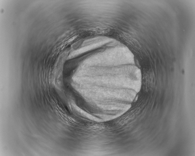 X0000086941058200705071412