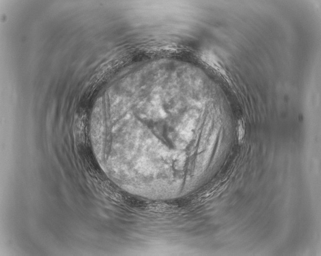 X0000086941059200705071412