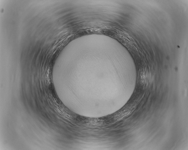 X0000086941060200705071412