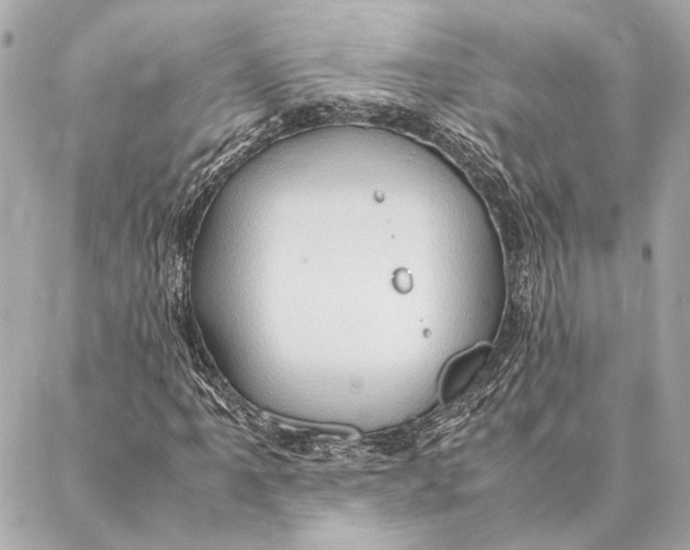 X0000086941061200705071412