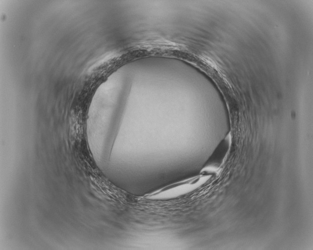 X0000086941063200705071412