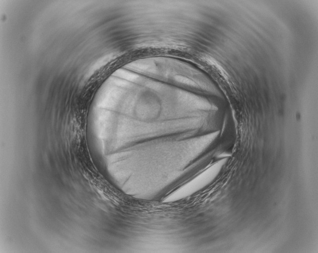 X0000086941064200705071412