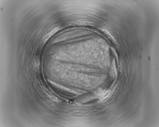 X0000086941065200705071412