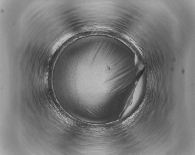 X0000086941066200705071412