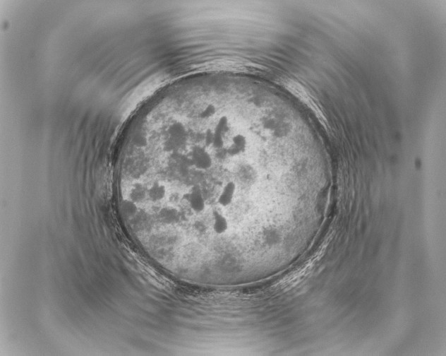 X0000086941067200705071412