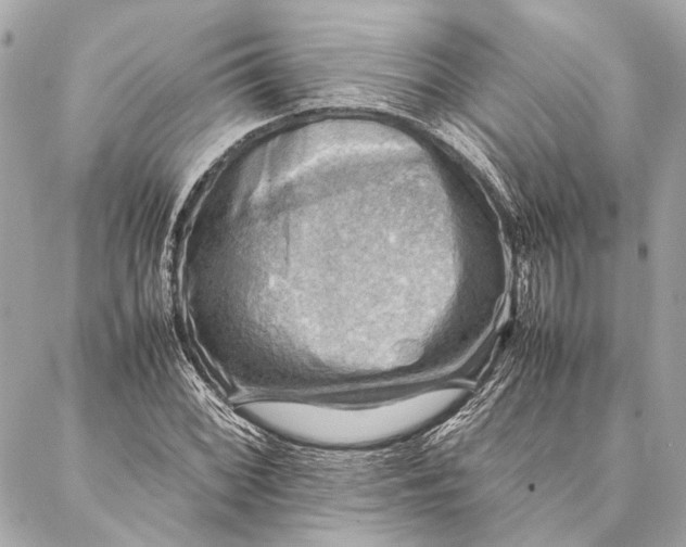 X0000086941068200705071412