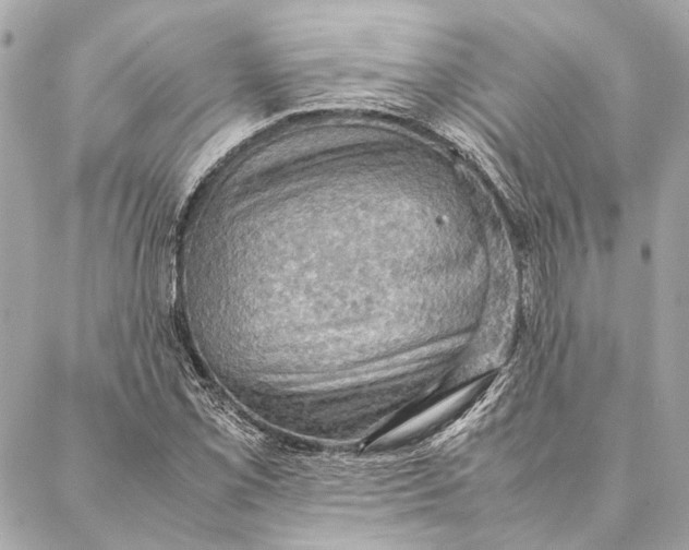 X0000086941069200705071412