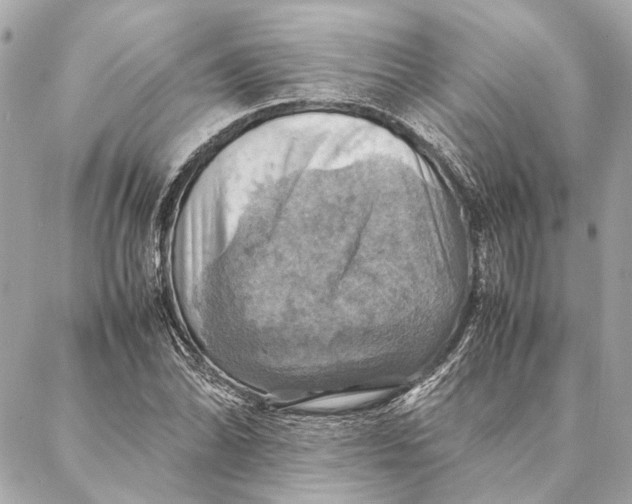 X0000086941070200705071412