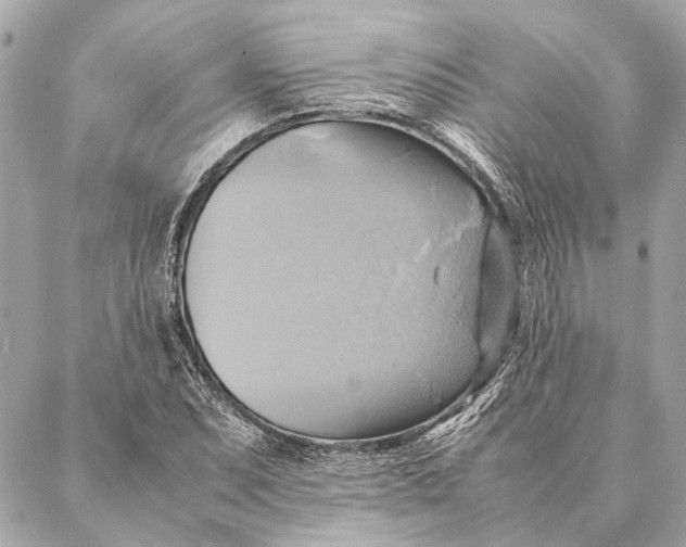 X0000086941071200705071412