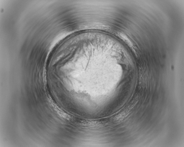 X0000086941072200705071412