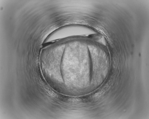 X0000086941073200705071412