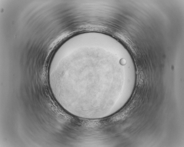 X0000086941074200705071412